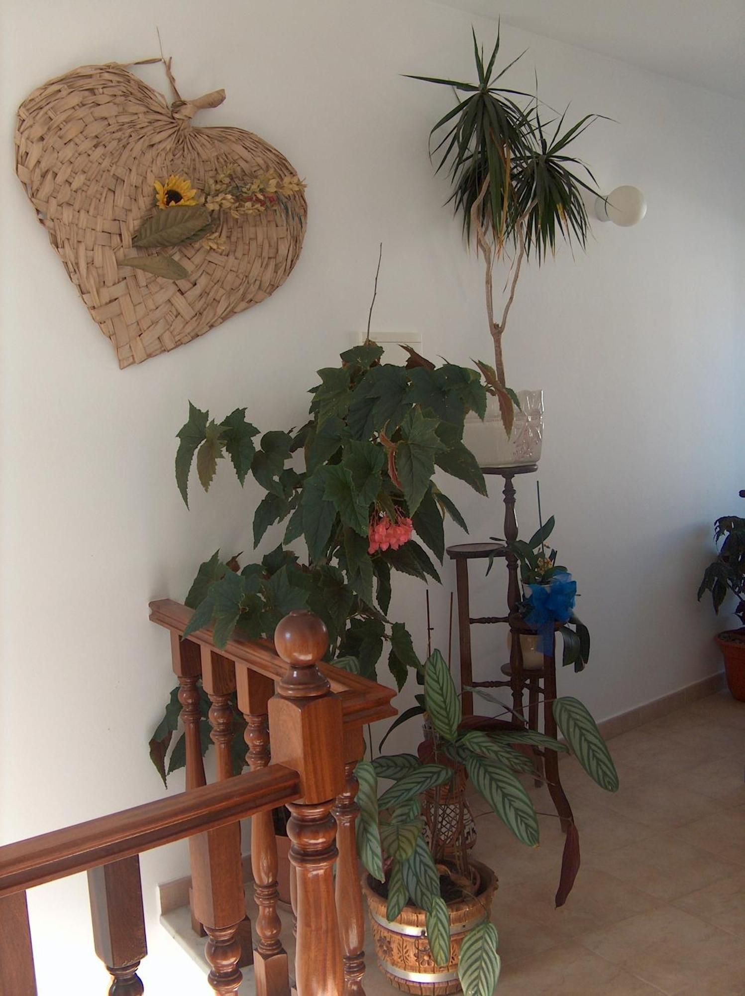 אלג'זור Guesthouse A Lareira מראה חיצוני תמונה